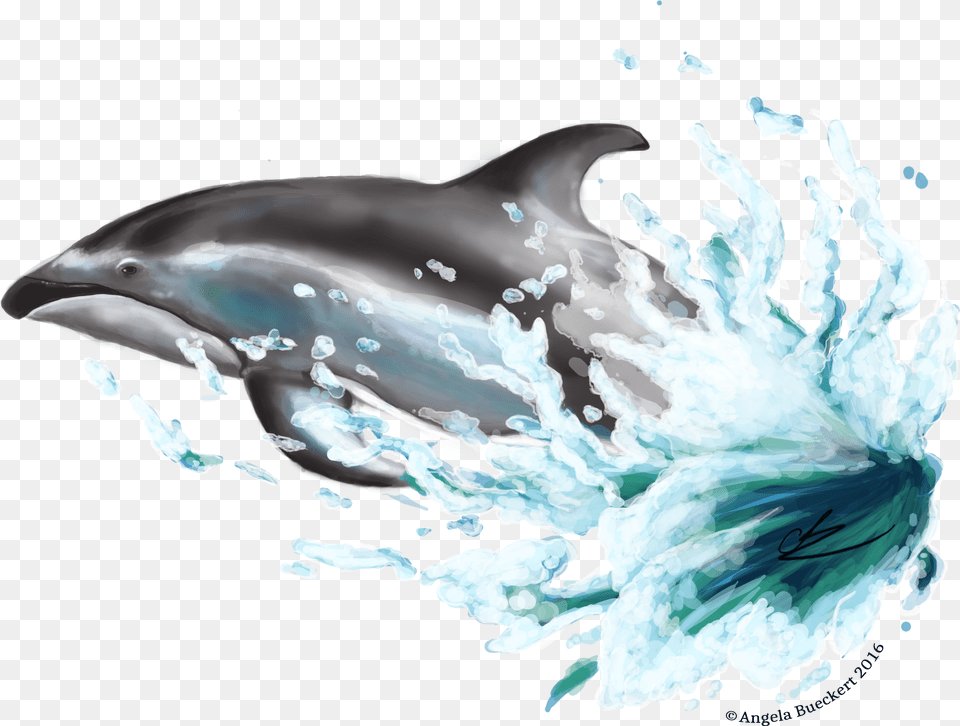 Dolphin Transparent Image Transparent Dolphin Images, Animal, Mammal, Sea Life, Fish Free Png