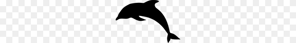 Dolphin Images Only, Gray Free Transparent Png