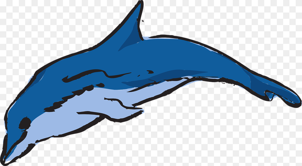 Dolphin Vector Dolphin Ocean Leaping Warna Ikan Lumba Lumba, Animal, Mammal, Sea Life, Fish Png Image