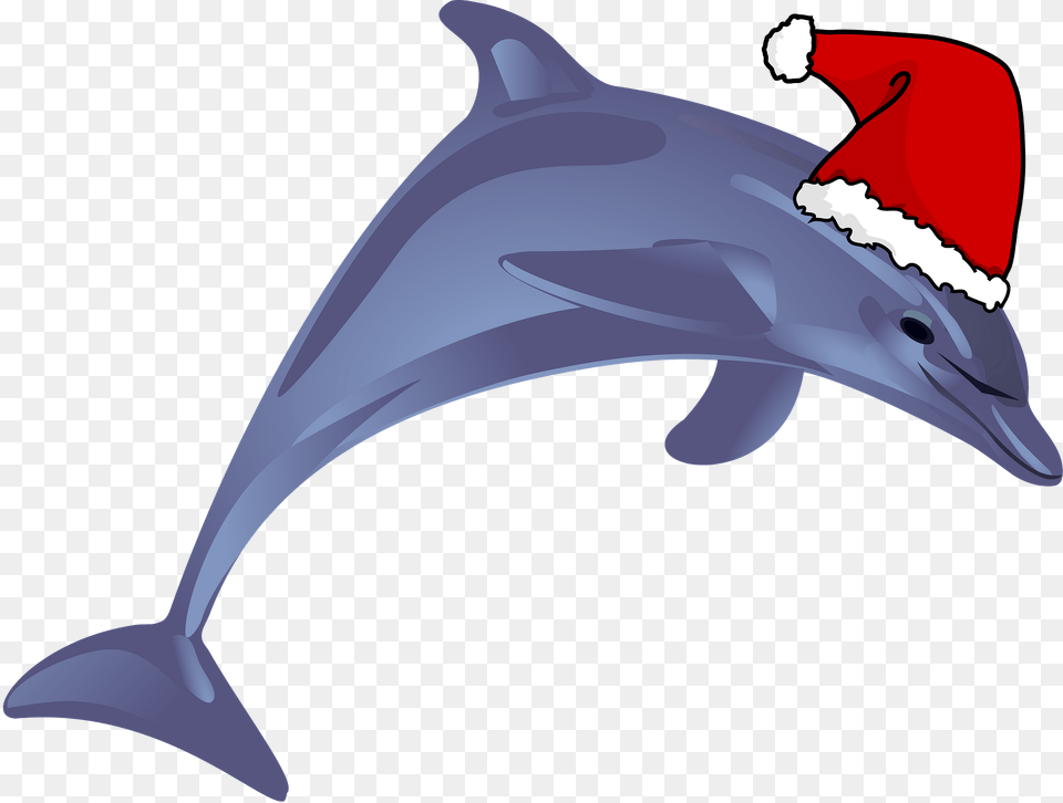 Dolphin With Santa Hat Clipart, Animal, Mammal, Sea Life, Fish Free Png