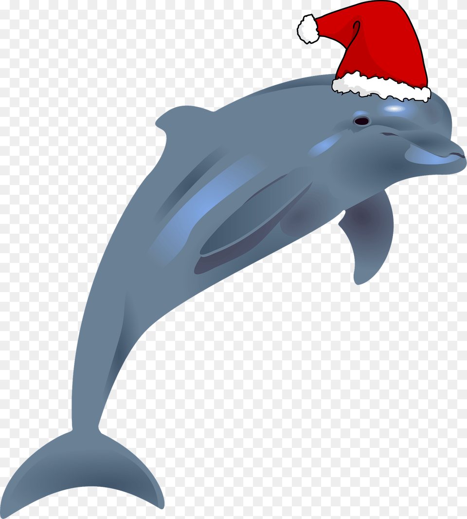 Dolphin With Santa Hat Clipart, Animal, Mammal, Sea Life, Fish Free Png Download
