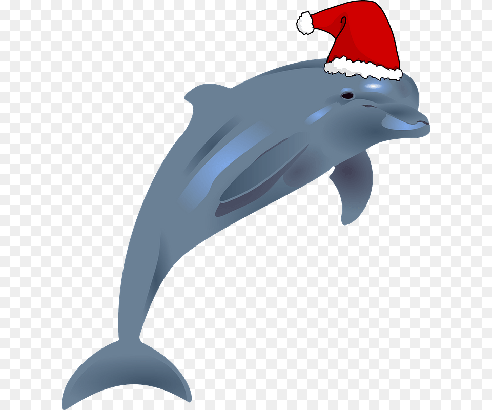 Dolphin With Santa Hat Clipart Dolphins Transparent, Animal, Mammal, Sea Life, Fish Free Png