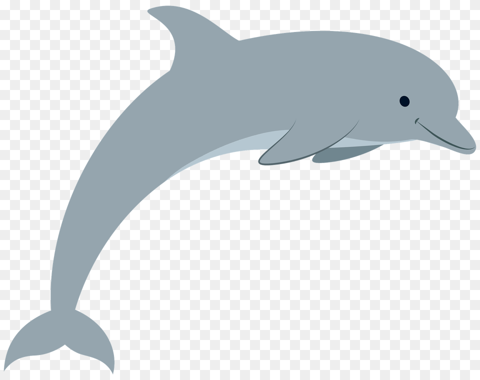Dolphine Clipart, Animal, Dolphin, Mammal, Sea Life Png