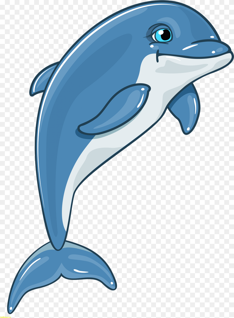 Dolphines Clipart Florida Dolphin, Animal, Mammal, Sea Life Free Png Download