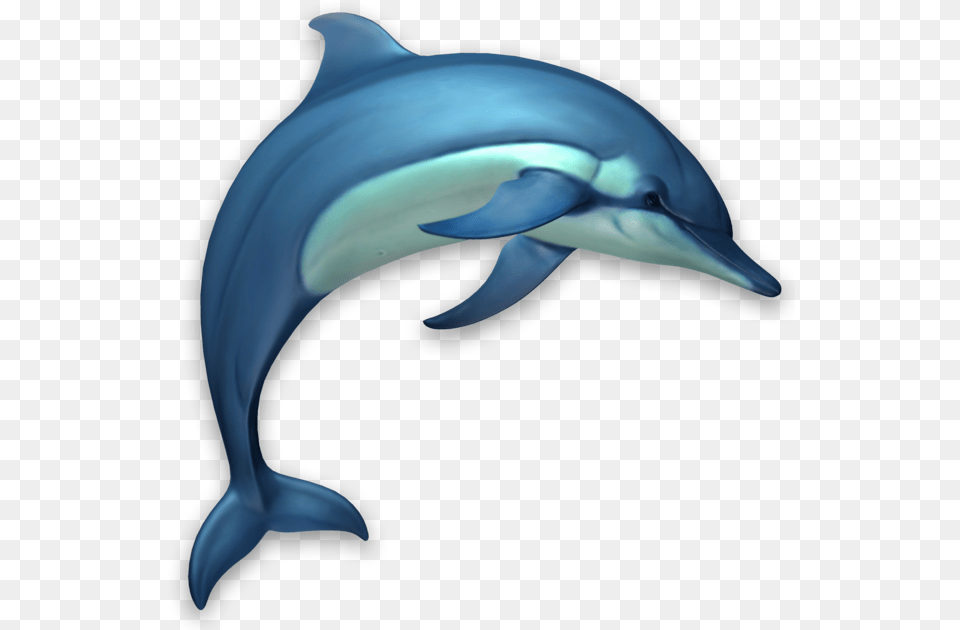 Dolphins 3d, Animal, Dolphin, Mammal, Sea Life Png