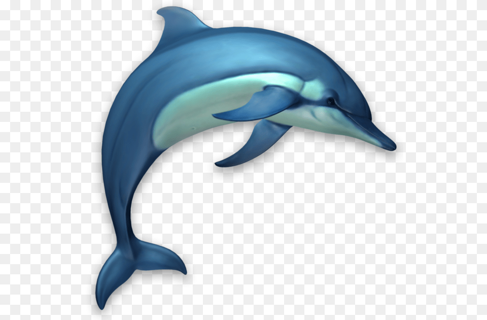 Dolphins 3d On The Mac App Store Dolphins 3d, Animal, Dolphin, Mammal, Sea Life Png