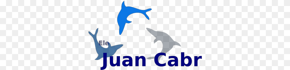 Dolphins, Animal, Dolphin, Mammal, Sea Life Free Transparent Png