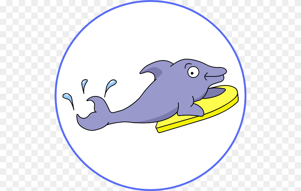 Dolphins 5 Yo Cartoon, Animal, Mammal, Pig, Toy Free Png