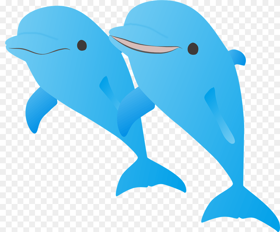 Dolphins Clipart, Animal, Dolphin, Mammal, Sea Life Free Png Download