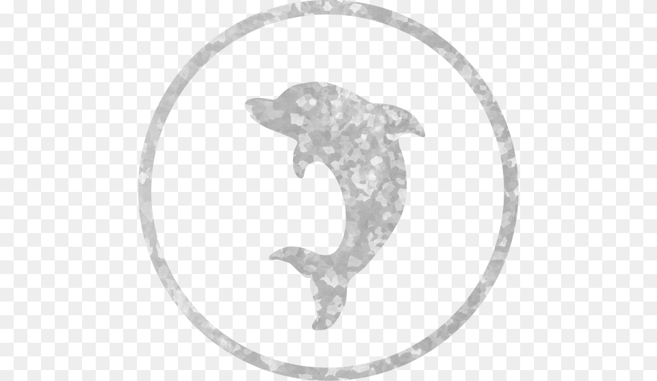 Dolphins Icon Adventures Tours, Texture Png