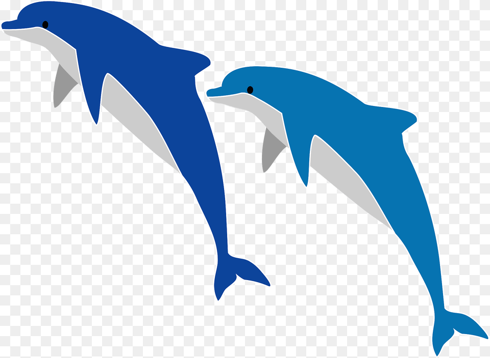 Dolphins Jumping Clipart, Animal, Dolphin, Mammal, Sea Life Free Png Download