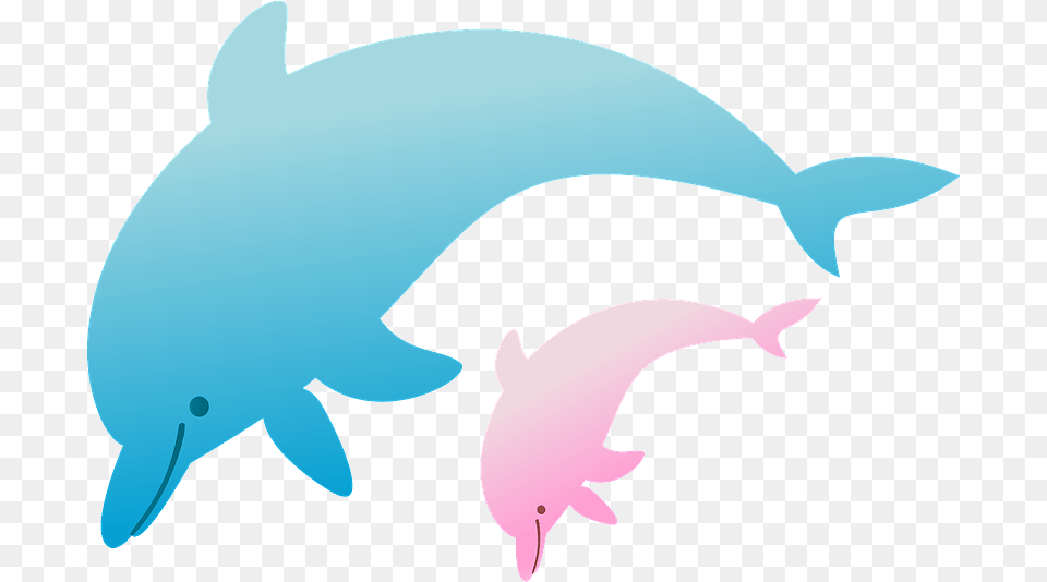 Dolphins Jumping Clipart, Animal, Dolphin, Mammal, Sea Life Free Transparent Png