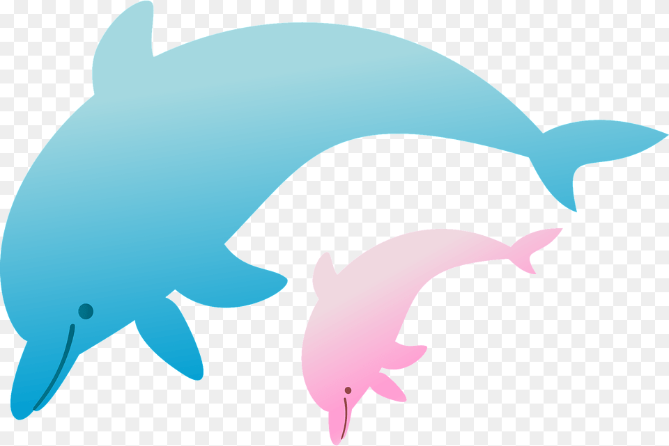 Dolphins Jumping Clipart, Animal, Dolphin, Mammal, Sea Life Free Transparent Png