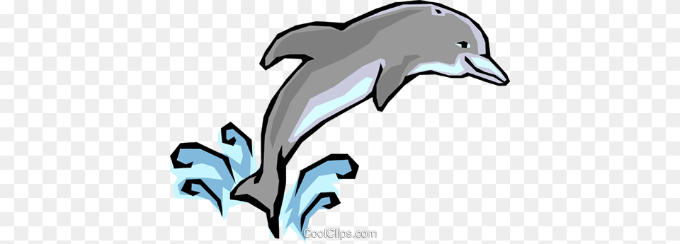 Dolphins Royalty Vector Clip Art Illustration, Animal, Dolphin, Mammal, Sea Life Free Png Download