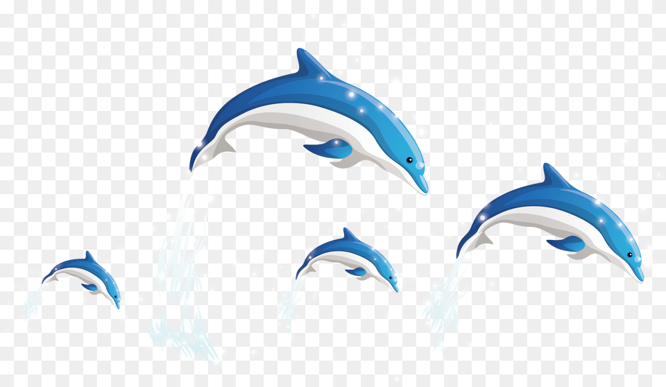 Dolphins Vector Download Dolphins, Animal, Dolphin, Mammal, Sea Life Free Png