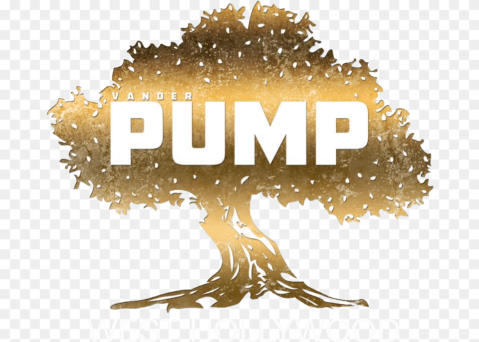 Dom Perignon Brut Pump West Hollywood Logo, Plant, Tree, Animal, Bird Png