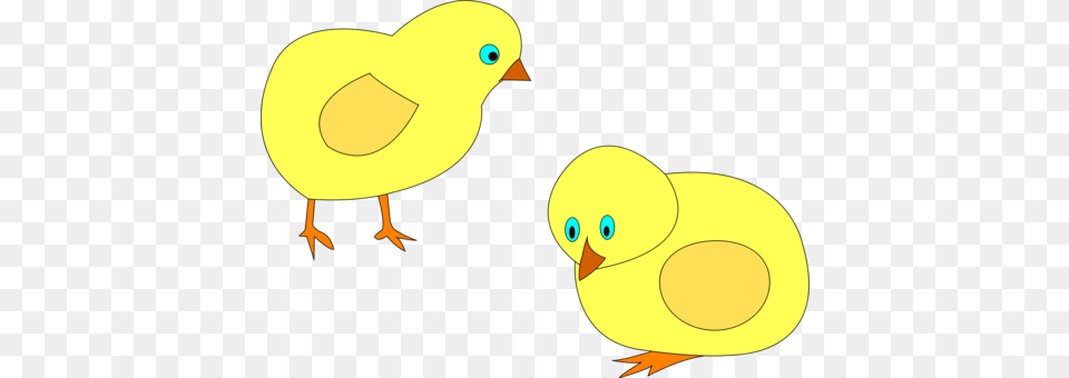 Domestic Canary Canaries Hybrids And British Birds In Cage, Animal, Bird, Fowl, Poultry Png Image
