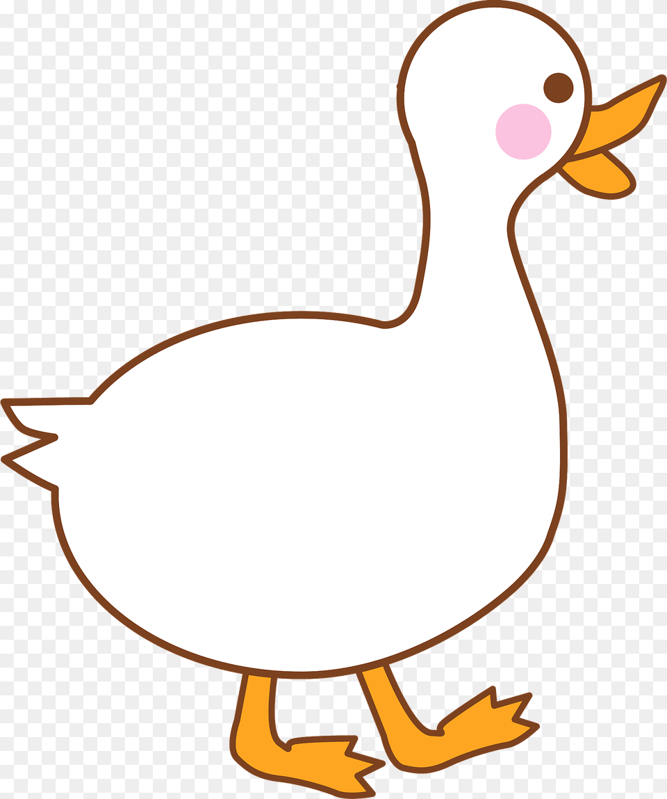 Domestic Duck Clipart, Animal, Bird, Waterfowl, Fish Png