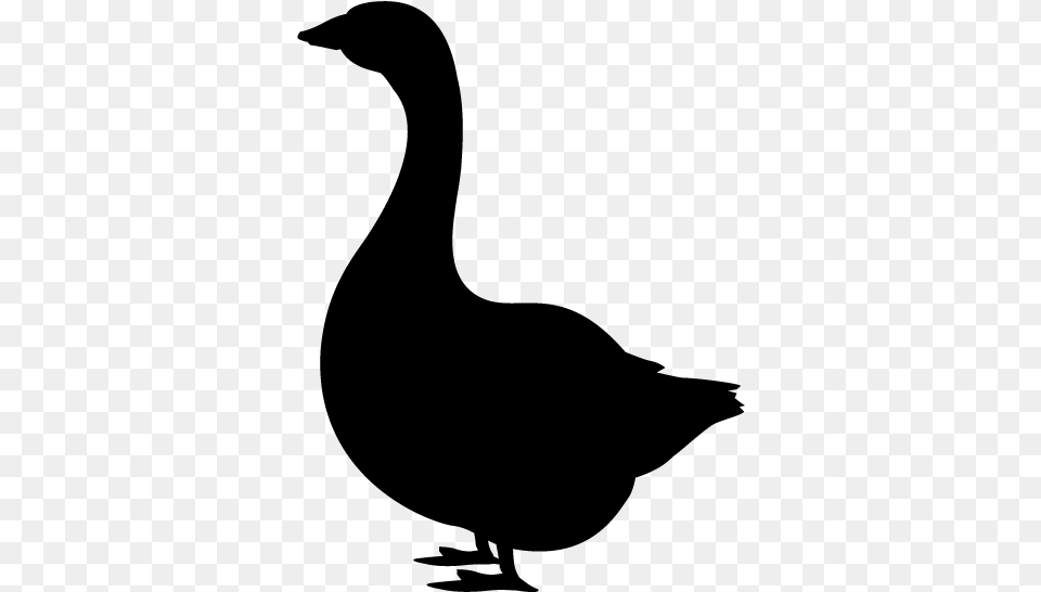 Domestic Duck Silhouette Goose Clip Art, Gray Free Png
