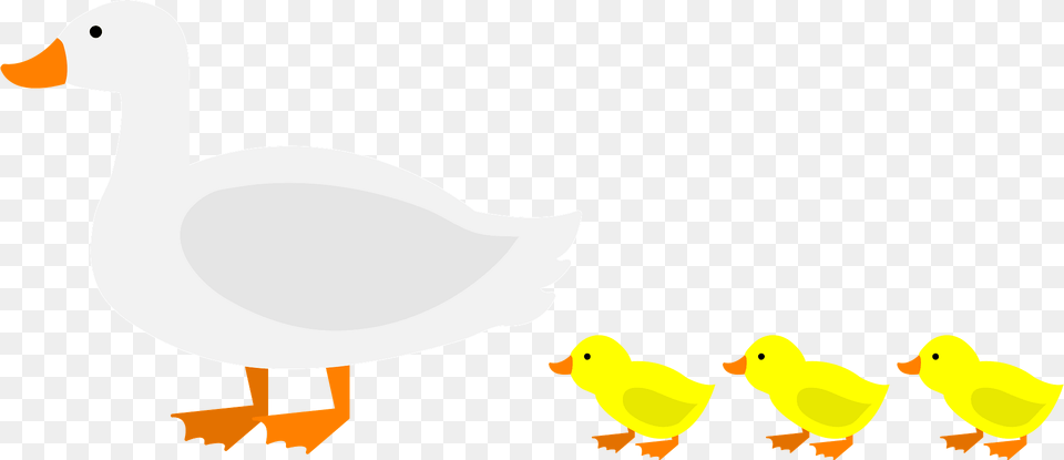 Domestic Ducks And Chicks Clipart, Animal, Bird, Duck, Waterfowl Free Transparent Png