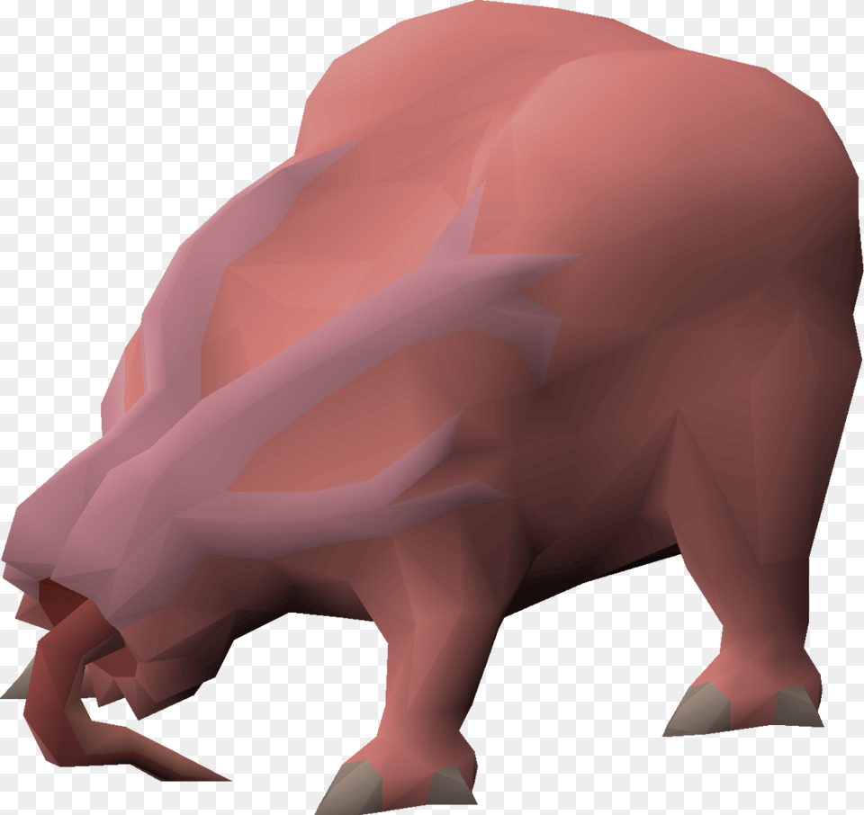 Domestic Pig, Animal, Boar, Hog, Mammal Free Png