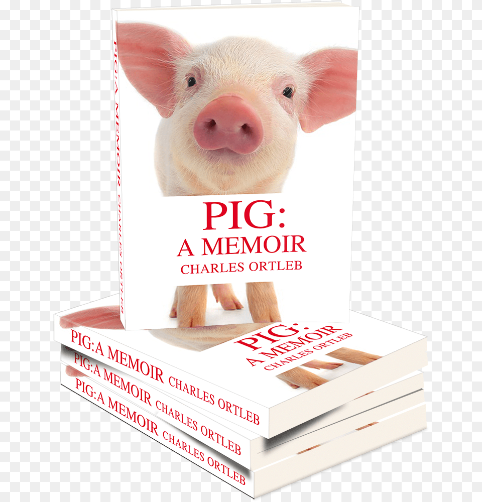 Domestic Pig, Animal, Mammal, Advertisement Free Transparent Png