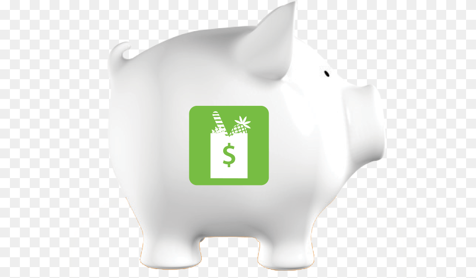 Domestic Pig, Piggy Bank Free Transparent Png