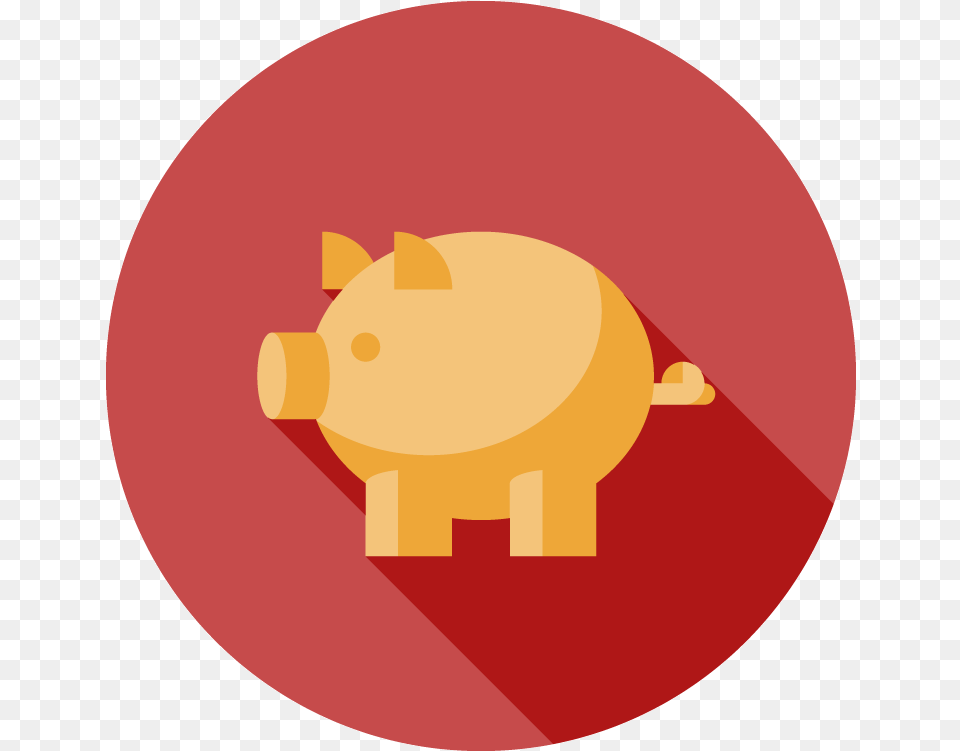 Domestic Pig, Piggy Bank, Disk Free Png Download