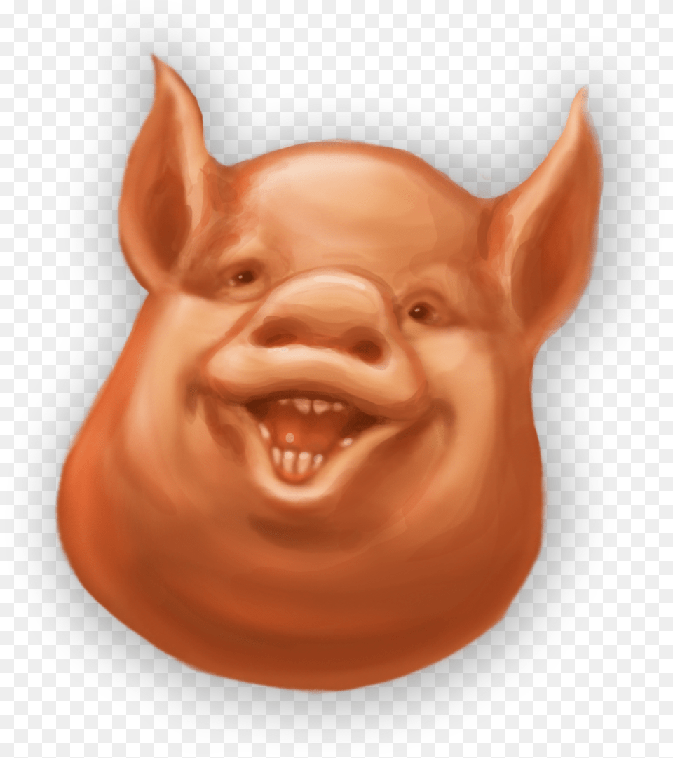 Domestic Pig, Baby, Person, Animal, Face Free Png