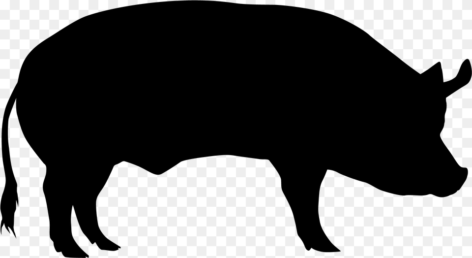 Domestic Pig Cattle Sheep Silhouette Transparent Background Pig Silhouette, Gray Free Png Download