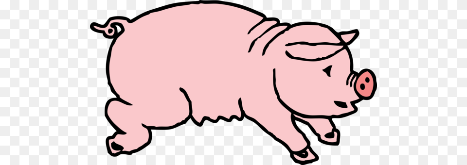 Domestic Pig Images Under Cc0 License, Animal, Mammal, Hog, Person Free Transparent Png