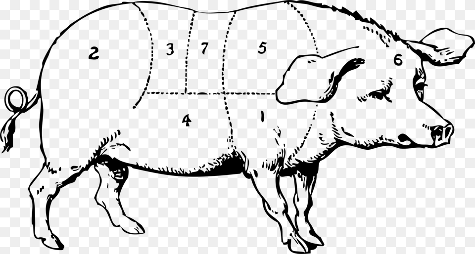 Domestic Pig Pork Chop Ham Pig Roast, Gray Free Png Download