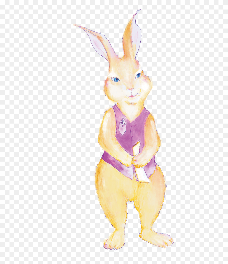 Domestic Rabbit, Baby, Person, Animal, Face Free Png