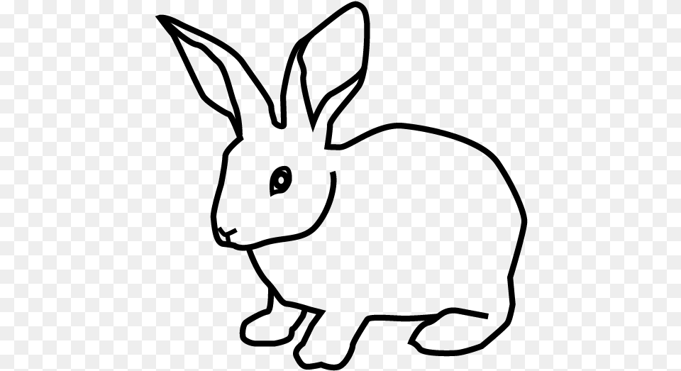 Domestic Rabbit, Gray Png Image
