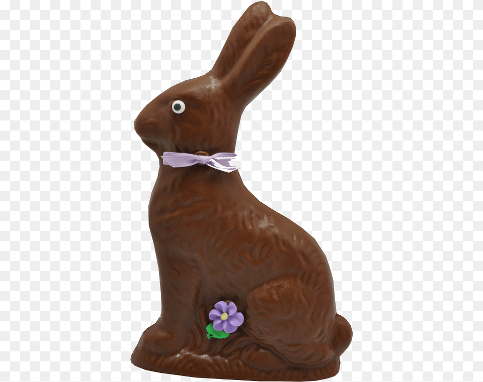 Domestic Rabbit, Animal, Hare, Mammal, Rodent Png