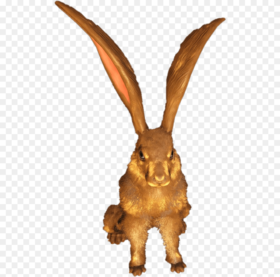 Domestic Rabbit, Animal, Hare, Mammal, Rodent Png Image