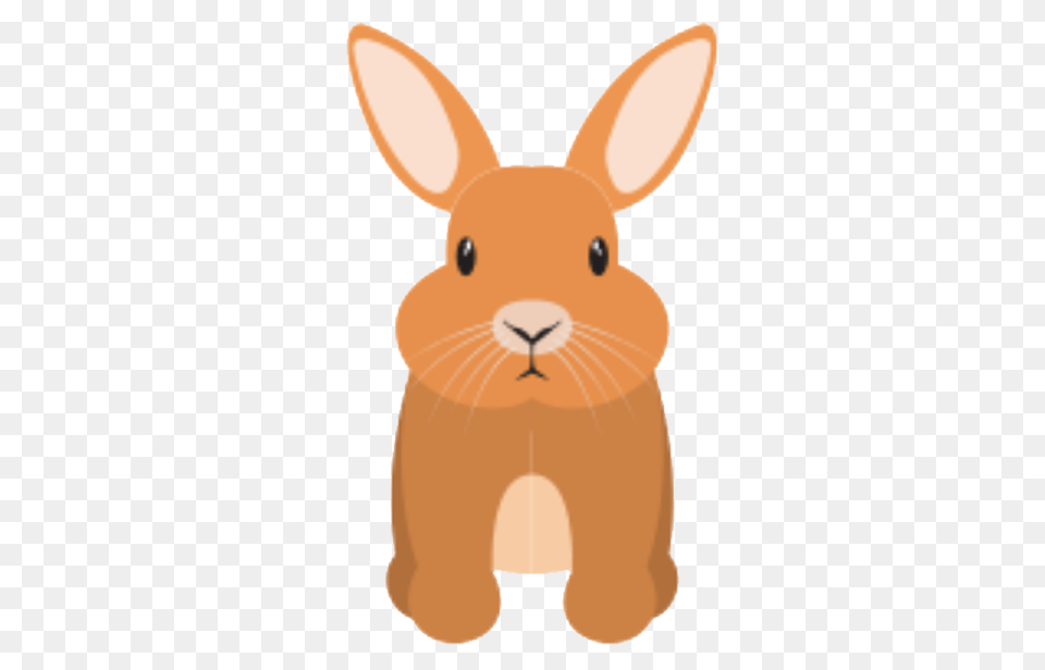 Domestic Rabbit, Animal, Mammal Free Transparent Png
