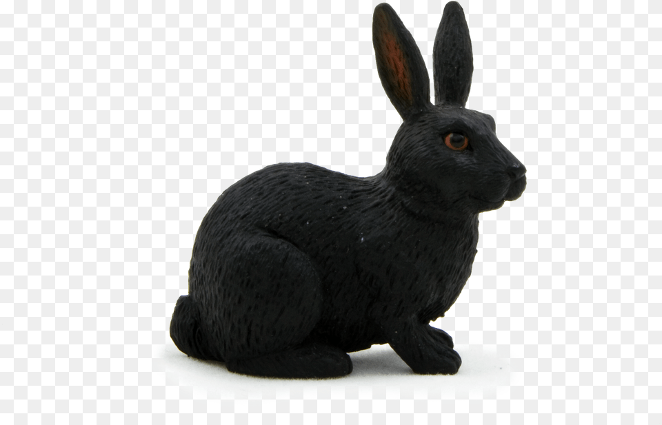 Domestic Rabbit, Animal, Mammal, Kangaroo Free Transparent Png