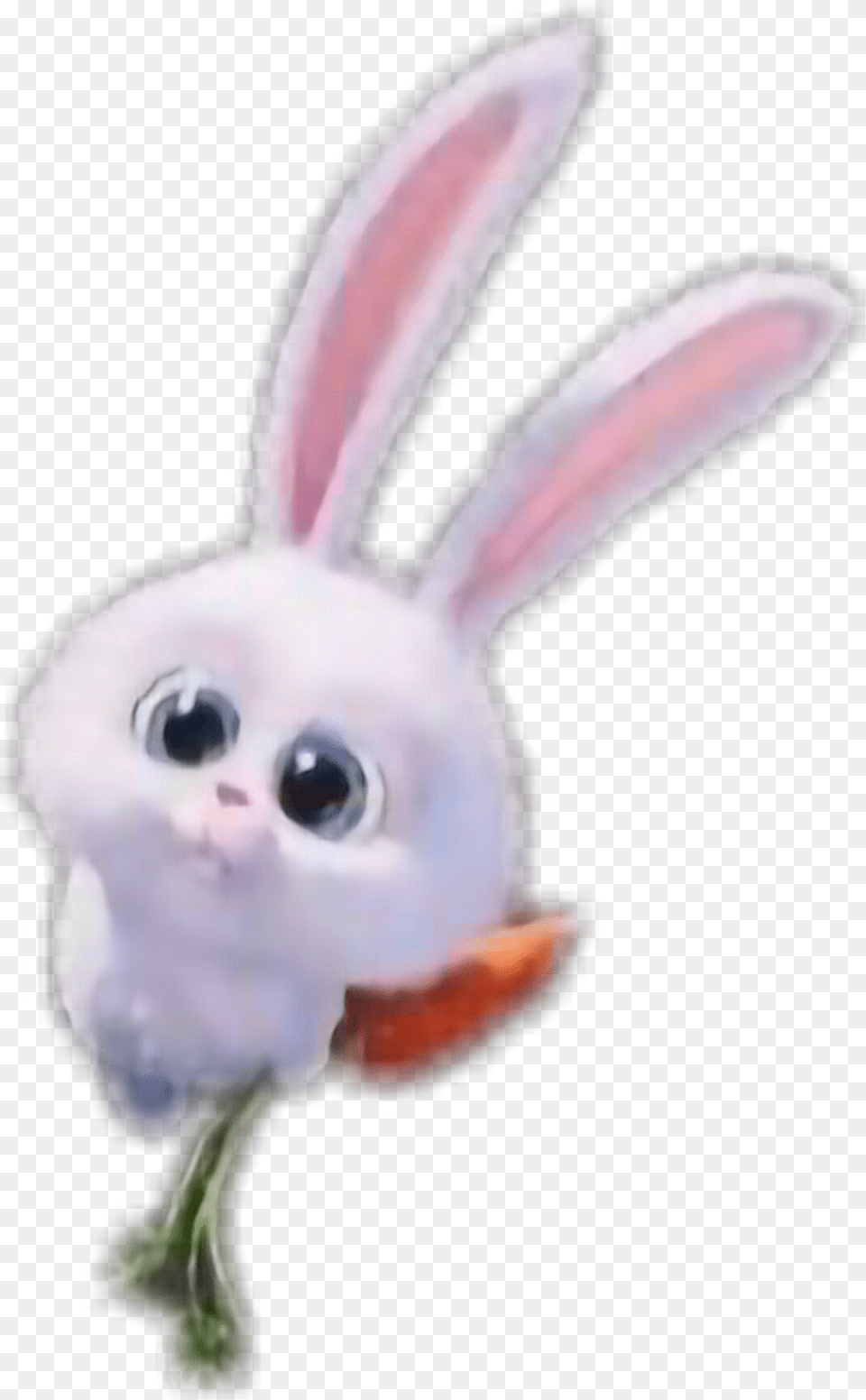 Domestic Rabbit, Animal, Mammal, Person, Head Png Image