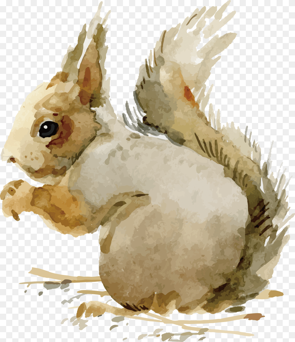 Domestic Rabbit Adobe Illustrator Vintage Images Of Animals In Fall, Animal, Mammal, Rodent, Squirrel Free Transparent Png
