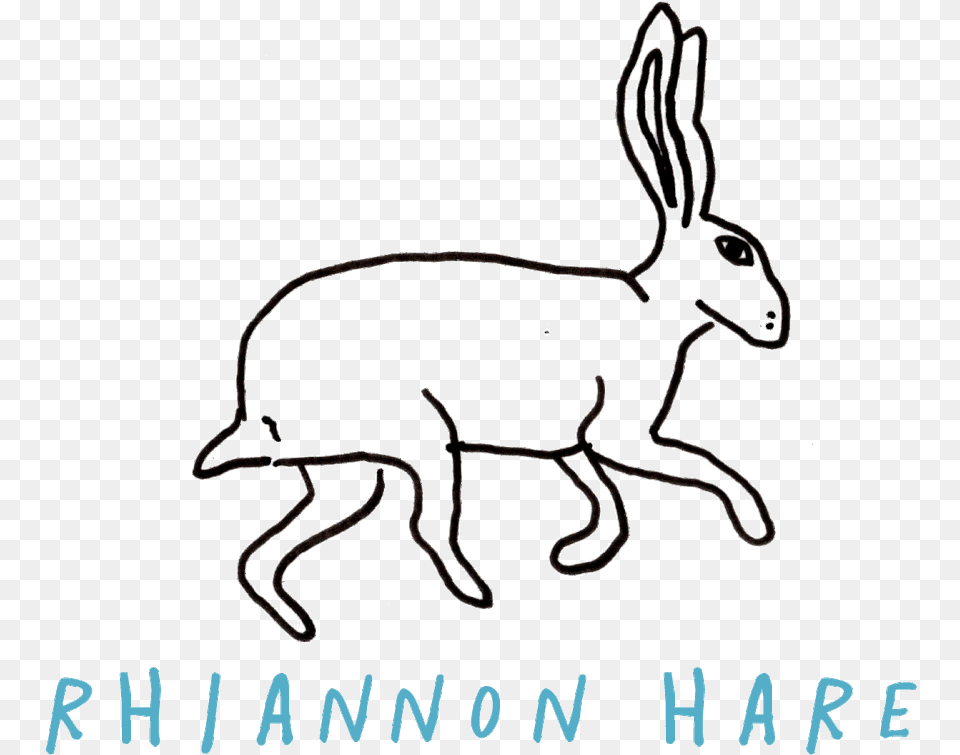Domestic Rabbit Clipart Download Swamp Rabbit, Animal, Hare, Mammal, Rodent Free Png