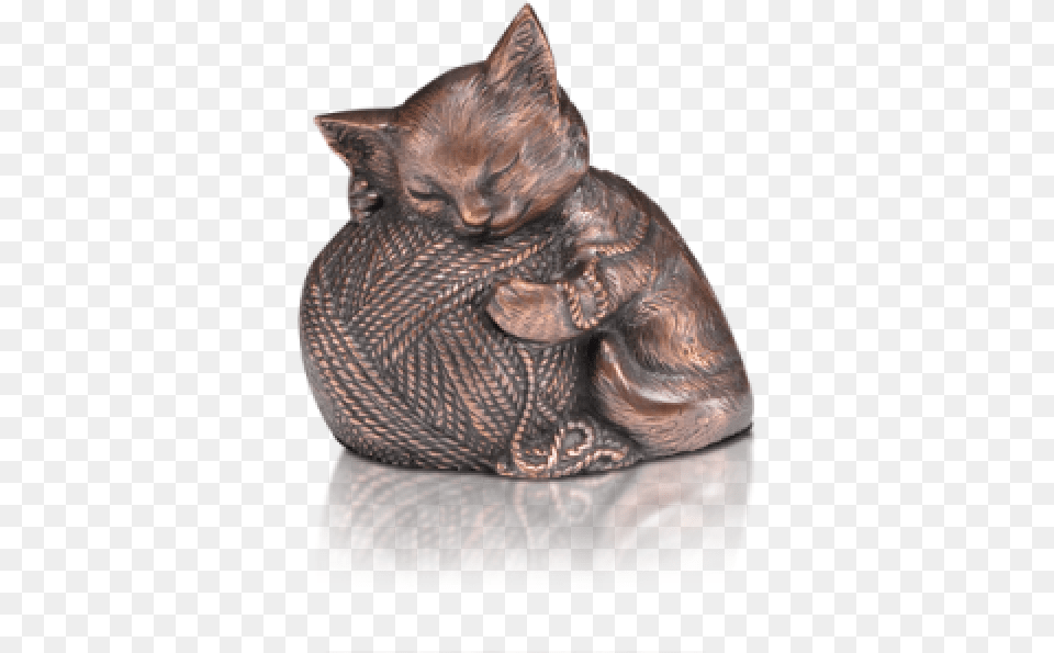 Domestic Short Haired Cat, Bronze, Animal, Egyptian Cat, Mammal Png Image