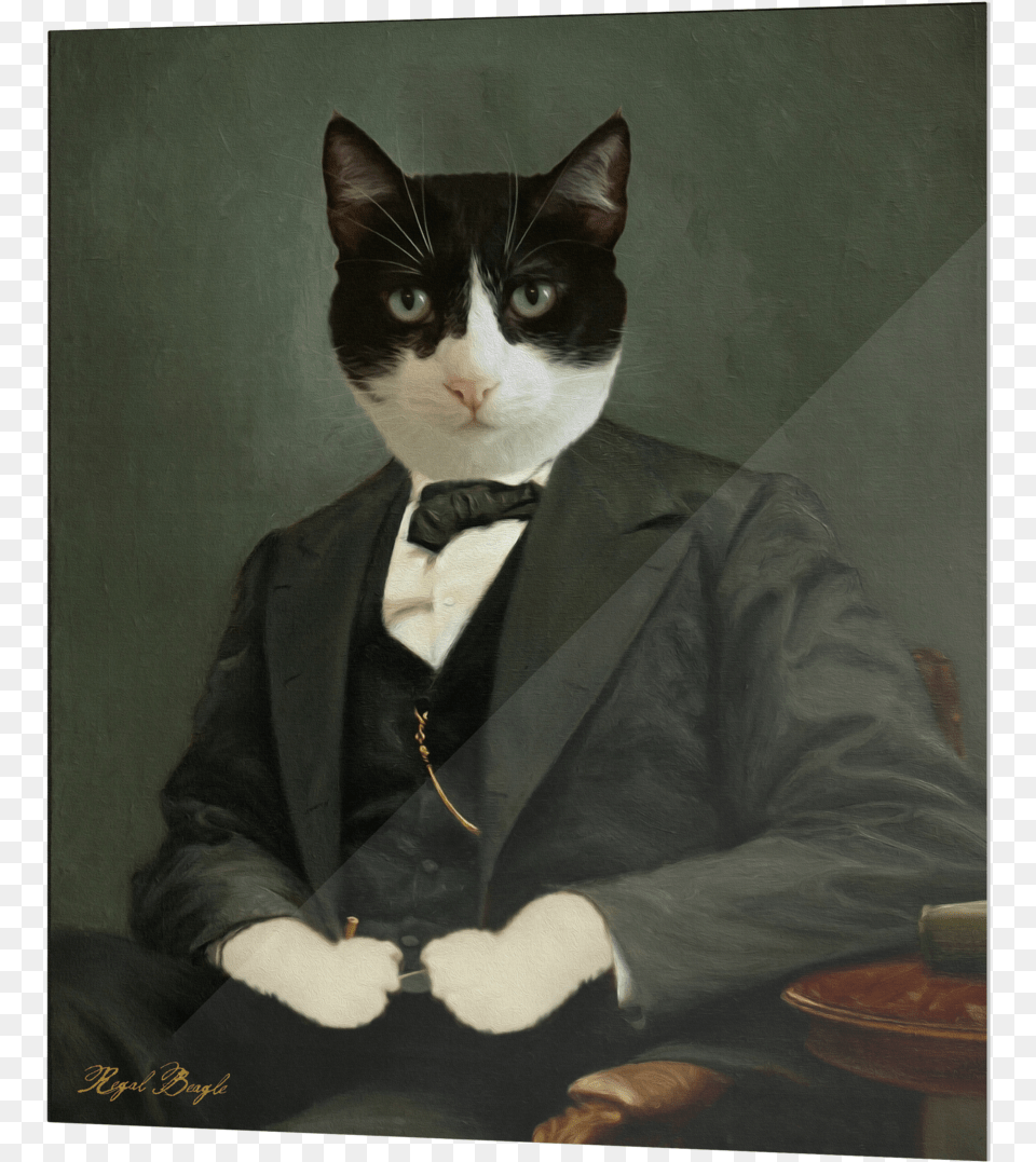 Domestic Short Haired Cat, Painting, Art, Male, Man Png Image