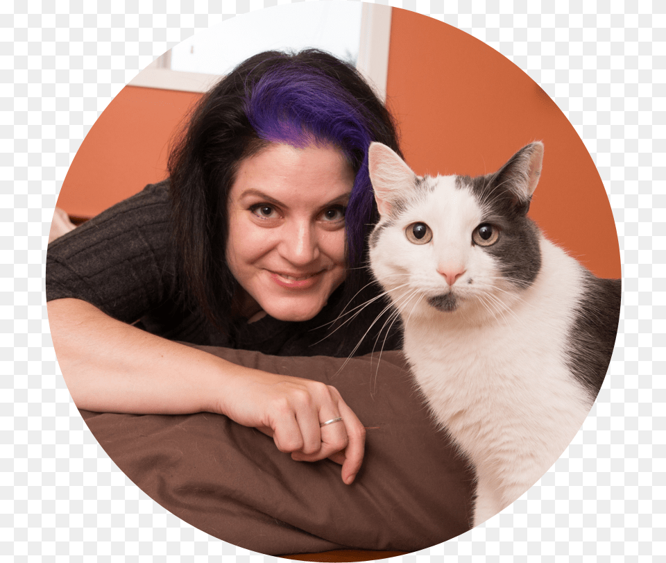 Domestic Short Haired Cat, Adult, Portrait, Photography, Person Png Image
