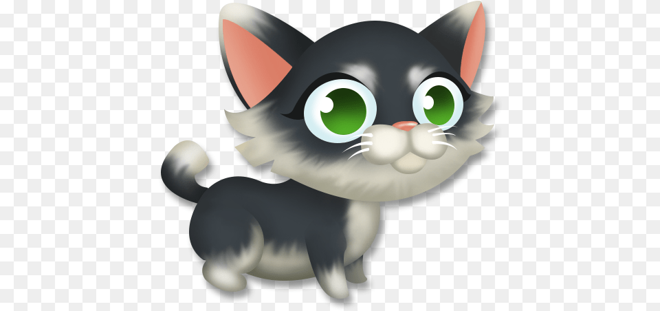 Domestic Short Haired Cat, Animal, Mammal, Pet Free Transparent Png