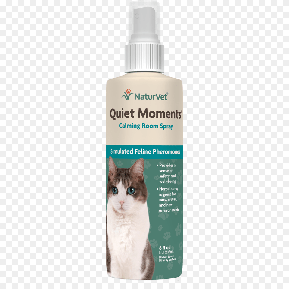 Domestic Short Haired Cat, Bottle, Lotion, Animal, Mammal Free Png
