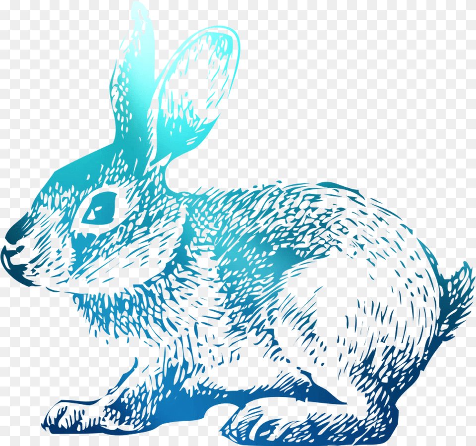Domestic T Shirt Hoppy Rabbit Easter Bunny Clipart Rabbit, Adult, Female, Person, Woman Free Transparent Png