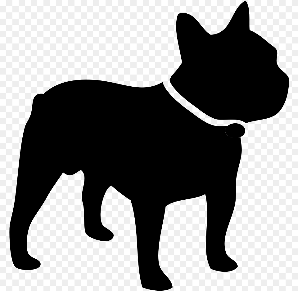 Domesticated And Feral Heat Stroke French Bulldog, Gray Free Png Download