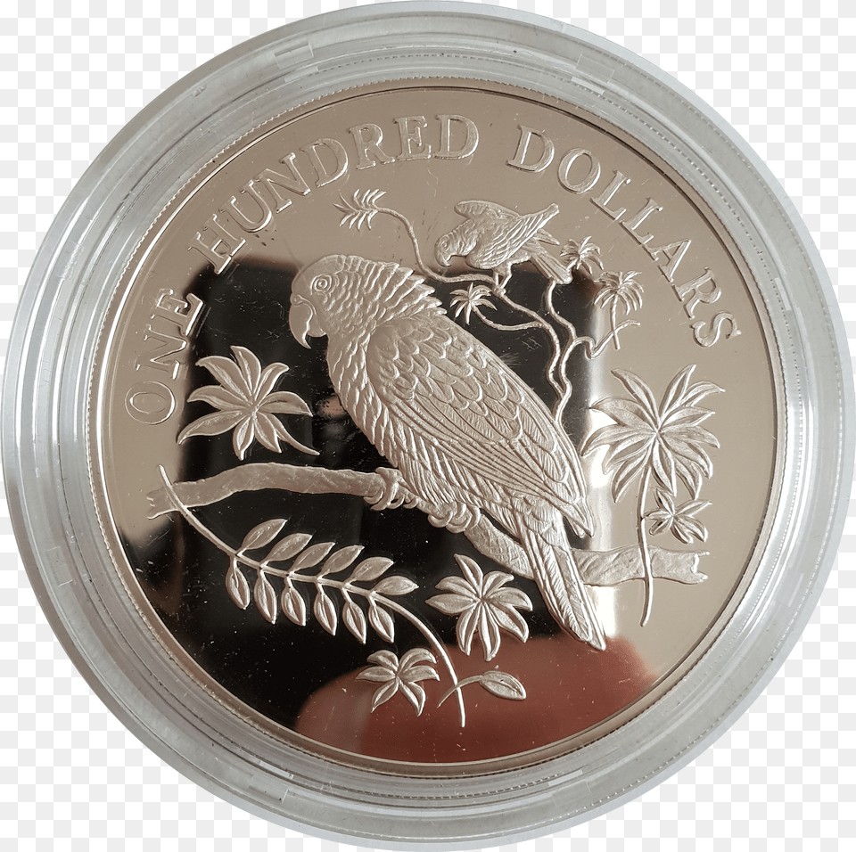 Dominica 100 Dollars Imperial Amazon 1988 Silver Coin Png Image