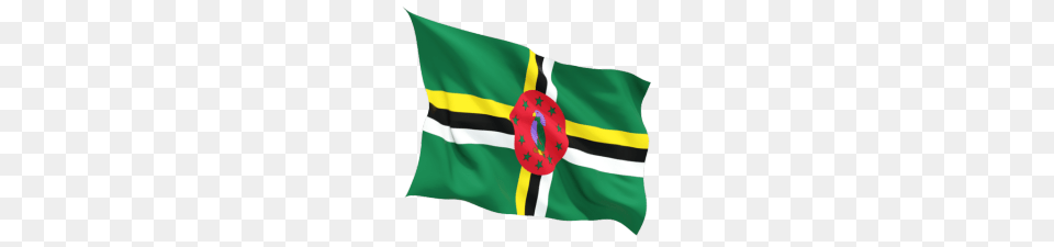 Dominica Observes Flag Day Dominica Vibes News Png